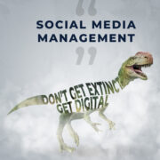 Social media marketing