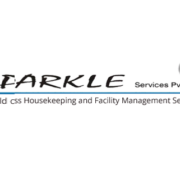 Sparkle logo services